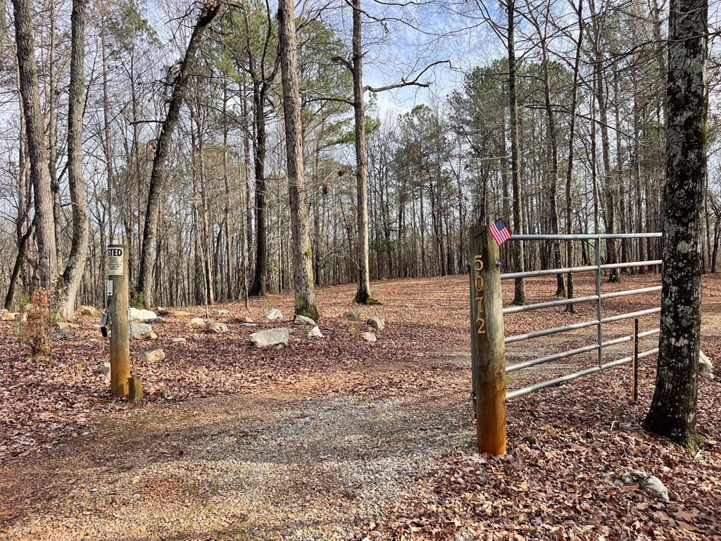5072 Ga Hwy 1126 photo of land for sale in Harris County Ga
