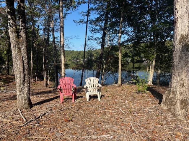 Property Item Image